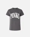 Pinko Logo And Birds T-shirt In Grey-dark Seagull