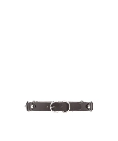 Pinko Lois H3 Belt In Gray