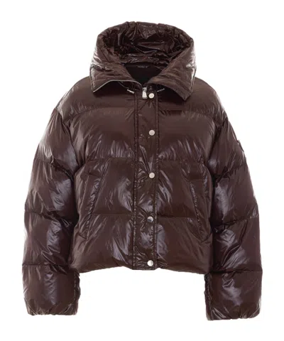Pinko Long-sleeve Hooded Padded Jacket In Burgundy