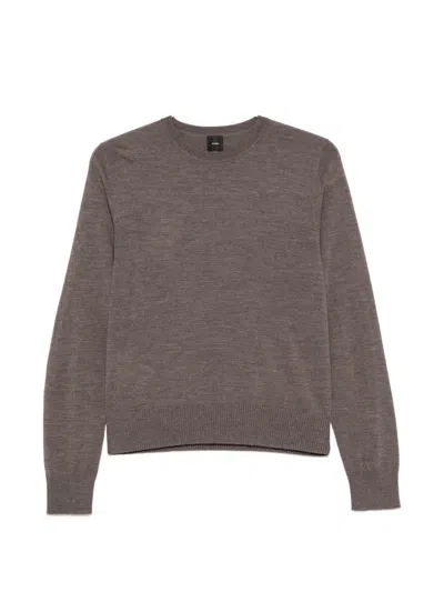 Pinko Lourdes Crew-neck Ribbed-trim Sweater In Brown