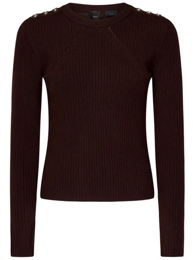 Pinko Robusto Sweater In Brown