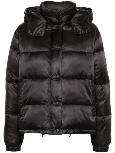 PINKO LOVE BIRDS-PATCH PUFFER JACKET