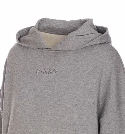 Pinko Makamba Hoodie In Grigio Pioggerella
