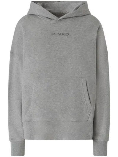 Pinko Makamba Hoodie With Logo In Grey