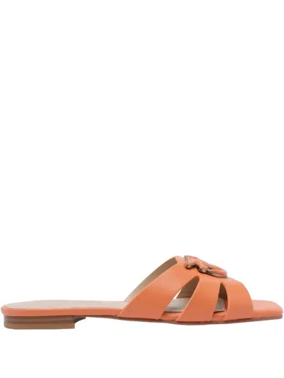 Pinko Marli 09 - Slipper In Brown