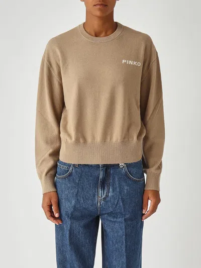 Pinko Martinica Maglia Blend Sweater In Brown