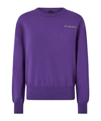 Pinko Martinica Sweater In Purple