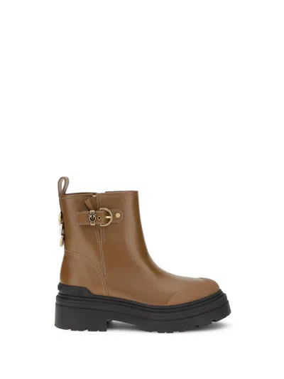 Pinko Mia Ankle Boots In Brown