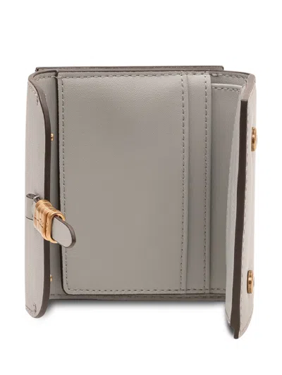Pinko Mini Saddle Wallet With Front Closure In Grigio Perla/antique Gold