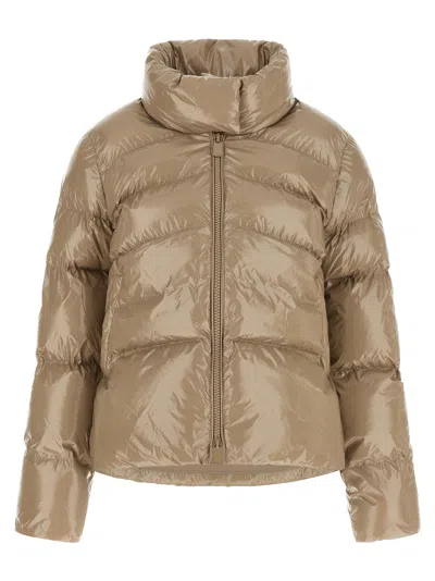 Pinko Mirco Down Jacket High Collar Cropped In Multi