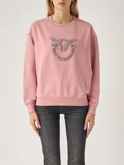 Pinko Nelly Felpa Logo Birds Hoodie In Multi