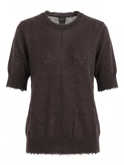 Pinko Nicosia Sweater In Brown
