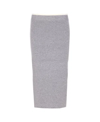 Pinko Nuova Guinea Skirt In Gray