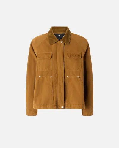 Pinko Pea Jacket With Corduroy Collar In Bronze