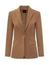 Pinko Single-breasted Tailored Blazer In Brown