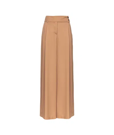 Pinko Pleat-detail Wide-leg Trousers In Brown