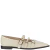 Pinko Pointed Toe Leather Shoes In Multi