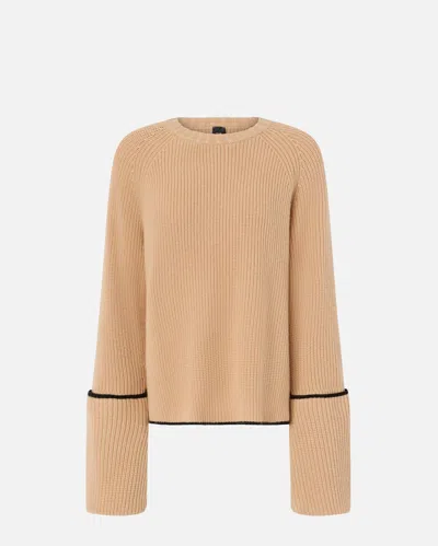 Pinko Loose Crew-neck Sweater In Brown