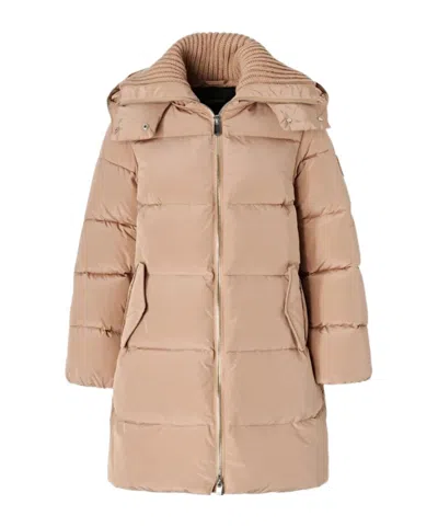 Pinko Long-sleeved Cotton-padded Jacket In Brown