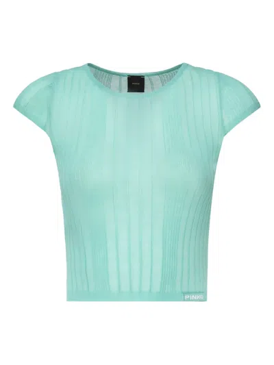 Pinko Ribbed Crew-neck Knit Top In Blue