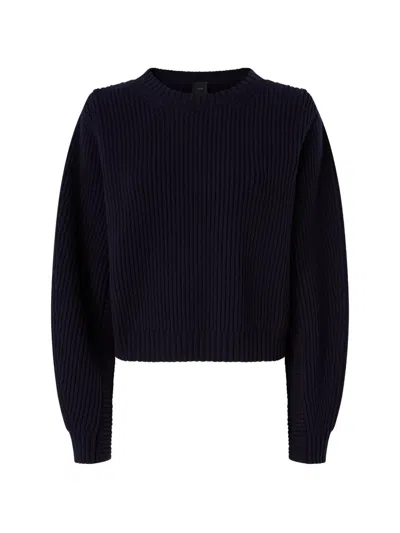 Pinko Ribbed-knit Long-sleeve Sweater In Blue