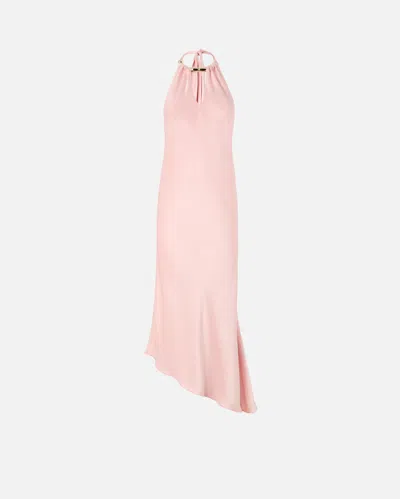 Pinko Long Dress With Open Back In Animal Print