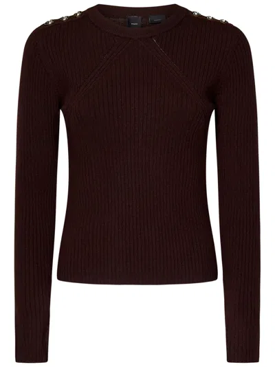 Pinko Robusto Sweater In Brown