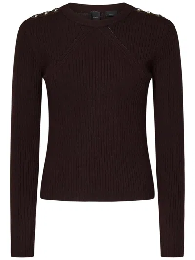Pinko Robusto Sweater In Brown