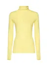 Pinko Sacred Turtleneck Sweater In Yellow