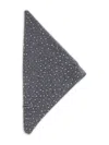 Pinko Svizzera Wool Scarf With Rhinestones In Black