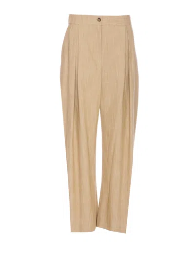 Pinko Scusami Pants In Beige