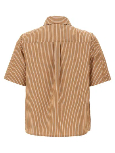 Pinko Shirts In Brown