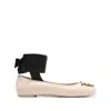 Pinko Love Birds Ballerina Shoes In Multicolor