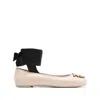 Pinko Love Birds Ballerina Shoes In Neutrals