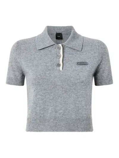 Pinko Wool And Cashmere Polo Shirt In Gray
