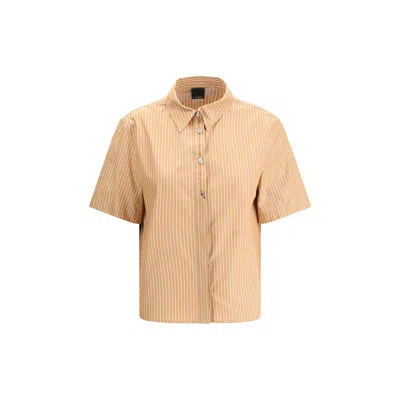 Pinko Short Sleeve Striped Shirt In Marrone/bianco