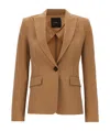 Pinko Single-breasted Tailored Blazer In Brown