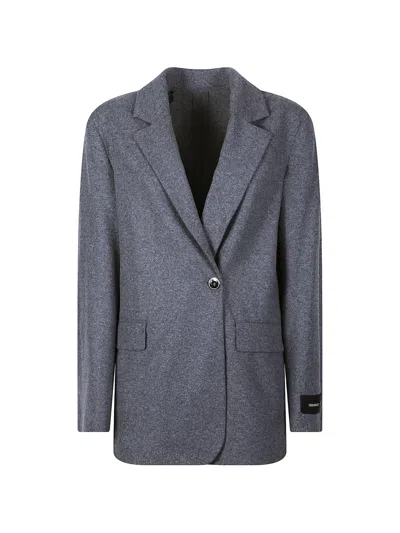 Pinko Single-breasted Notched-lapels Jacket In Gray