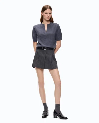 Pinko Skirt In Gray