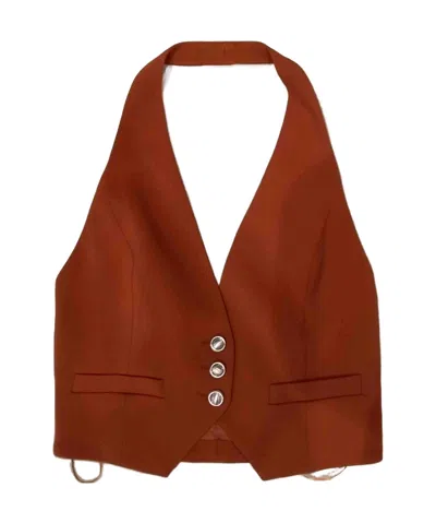 Pinko Sleeveless Vest In Brown