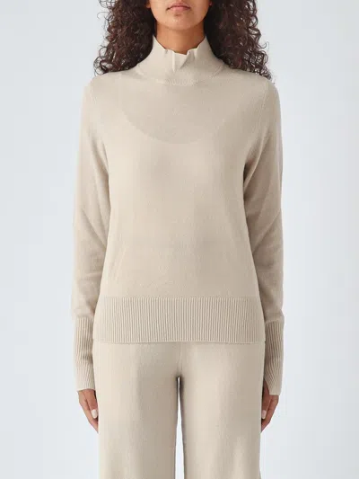 Pinko Slim Fit Wool And Cashmere Turtleneck Sweater With Long Sleeves In Brown