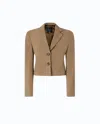 Pinko Single-breasted Cropped Blazer In Brown