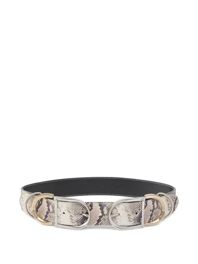 Pinko Snakeskin Buckle Belt In Multi