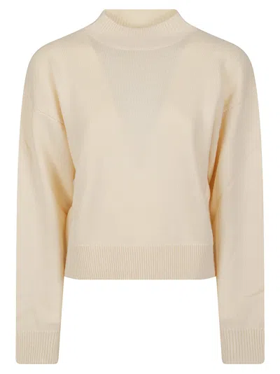 Pinko Sparta Cropped Fine Knit Ribbed Turtleneck Sweater In Neutral