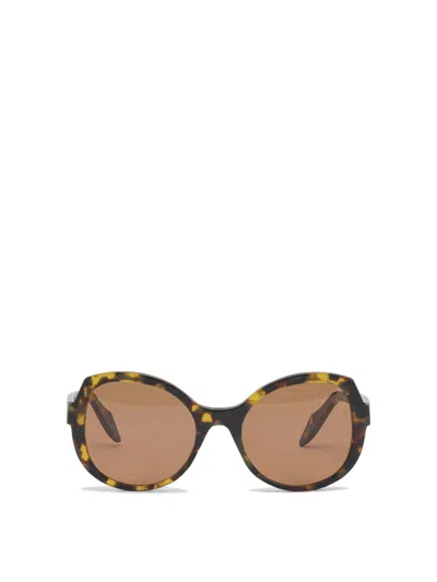 Pinko Sunglasses Brown