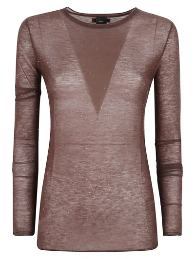 Pinko Sweater In Brown