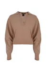 Pinko Sweater  Evanescente Made Of A Wool And Cashmere Blend In Brown