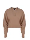 Pinko Sweater  Evanescente Made Of A Wool And Cashmere Blend In Brown