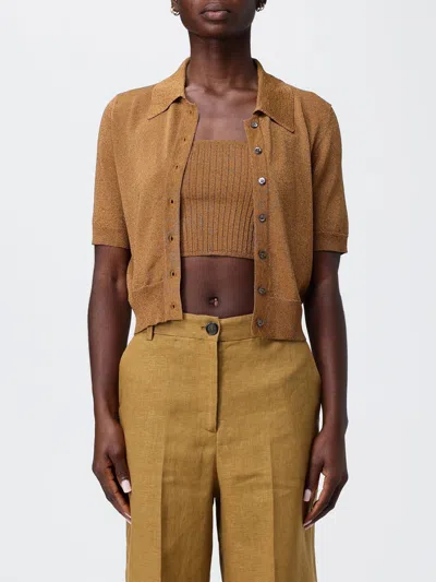 Pinko Sweater  Woman Color Brown