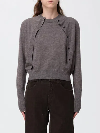 Pinko Sweater Woman In Gray